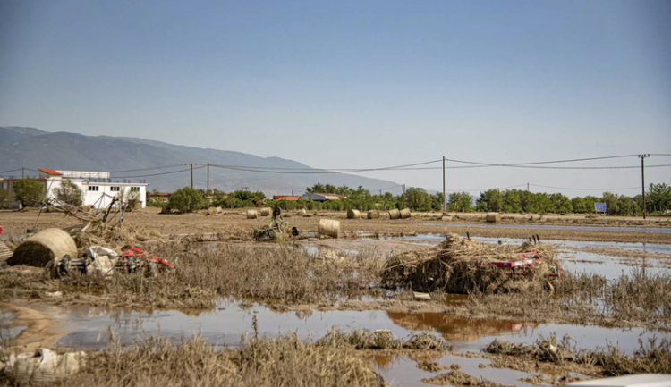 Θεσσαλία: Προσπαθούν να μαζέψουν τα νεκρά ζώα σε Τρίκαλα και Λάρισα