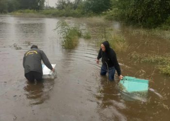 Τρίκαλα: Αστυνομικός σώζει με αυτοθυσία ζώα και μελίσσια-Εικόνες που συγκινούν (φωτό-video)