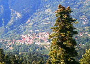 Εφικτή η πρόσβαση προς τα Στουρναραίικα