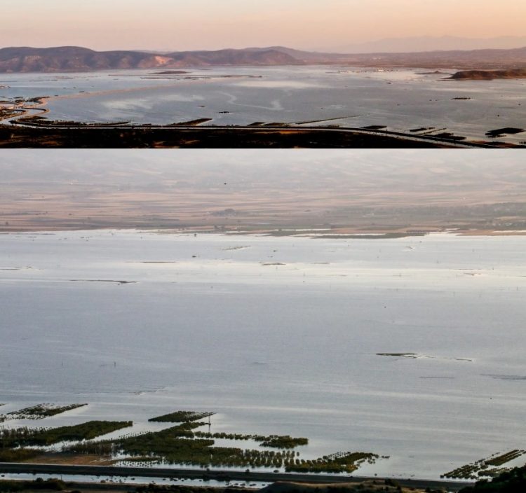 O θεσσαλικός κάμπος μοιάζει να έγινε ένα με τη λίμνη Κάρλα