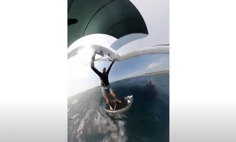 Αυστραλία: Σέρφερ δέχτηκε επίθεση από φάλαινα, τον έσυρε κάτω από το νερό – «Είμαι τυχερός που ζω»