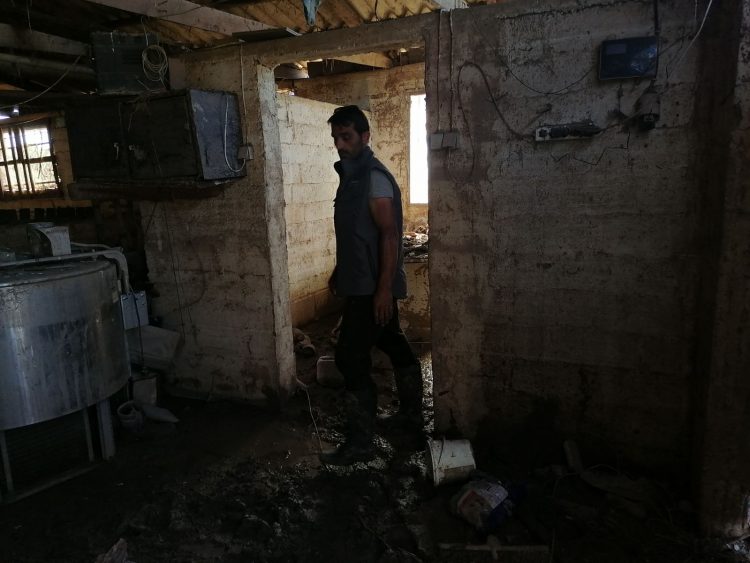 Συνεχίζουν το εκτιμητικό τους έργο τα μεικτά κλιμάκια των γεωπόνων