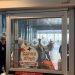 Τρόμος στο αεροδρόμιο του ΤΕΛ Αβίβ: Ηχούν οι σειρήνες και ο κόσμος τρέχει πανικόβλητος