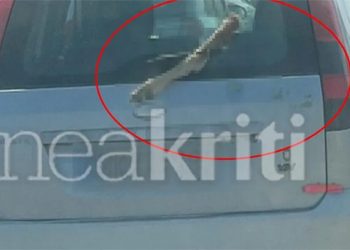 Φρίκη στο Ηράκλειο: Κυκλοφορούσε με ένα πόδι κατσίκας στο παρμπρίζ του αυτοκινήτου του