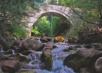 Δίκτυο φορέων και πολιτών για την προστασία του Ασπροποτάμου -ΟΧΙ στην ολοκληρωτική υποβάθμιση των δασών, των ρεμάτων και των βουνών μας