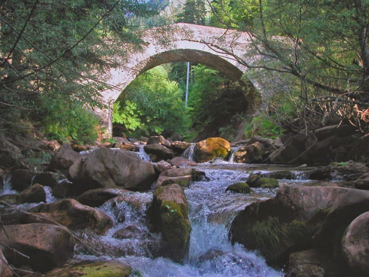 Δίκτυο φορέων και πολιτών για την προστασία του Ασπροποτάμου -ΟΧΙ στην ολοκληρωτική υποβάθμιση των δασών, των ρεμάτων και των βουνών μας