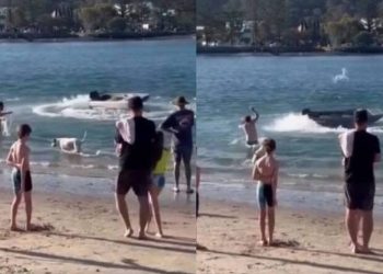 Τύπος έριξε λάσο σε ακυβέρνητο σκάφος που έκανε σβούρες (vid)