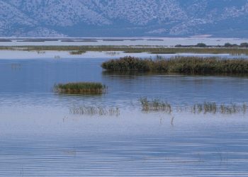 Iστορικό “ρεκόρ” της έκτασης της επιφάνειας της «Λίμνης Κάρλας»-Έφτασε στα 150.674,56 στρέμματα