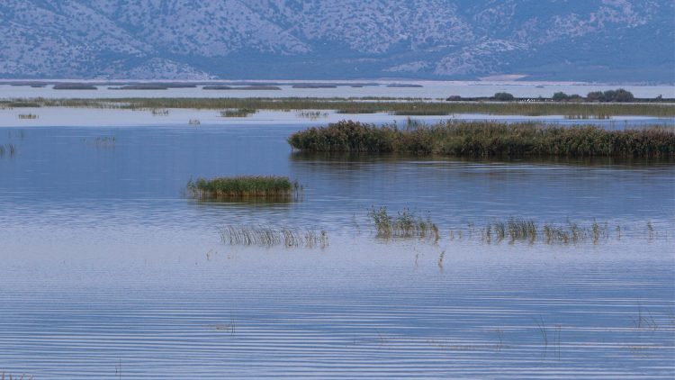 Iστορικό “ρεκόρ” της έκτασης της επιφάνειας της «Λίμνης Κάρλας»-Έφτασε στα 150.674,56 στρέμματα