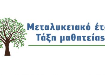 Δήλωση για συμμετοχή στο Μεταλυκειακό Έτος – Τάξη Μαθητείας ΕΠΑ.Λ. περιόδου 2023-2024