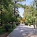 Τρεις μύθοι και η αλήθεια για τους χώρους εστίασης των Μουσείων