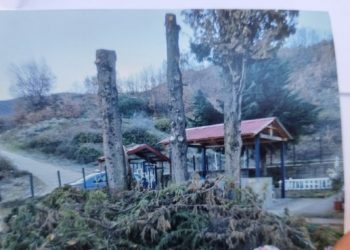 Καλαμπάκα: Πικραμένη μάνα… έστειλε το μήνυμά της με την ψήφο της
