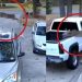 Αφηνιασμένο ελάφι προσπάθησε να κάνει παγκόσμιο ρεκόρ στο άλμα εις μήκος (vid)