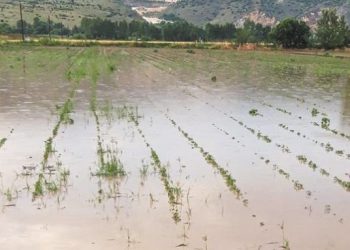 Να γίνει καταβολή των μέγιστων αποζημιώσεων σε πλημμυροπαθείς παραγωγούς