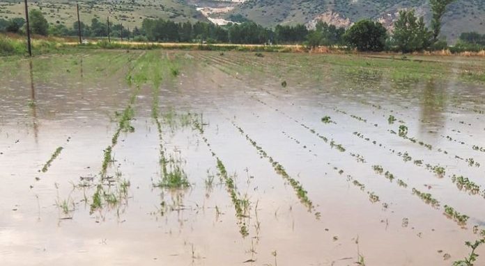 Να γίνει καταβολή των μέγιστων αποζημιώσεων σε πλημμυροπαθείς παραγωγούς