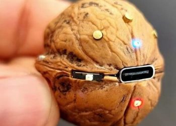 Ένας άνδρας μετέτρεψε καρύδι σε Bluetooth ηχείο