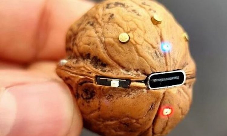 Ένας άνδρας μετέτρεψε καρύδι σε Bluetooth ηχείο