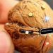Ένας άνδρας μετέτρεψε καρύδι σε Bluetooth ηχείο