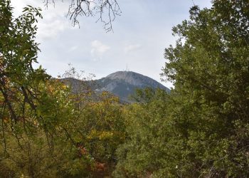 Μυτιλήνη: Η μεγάλη γιορτή του κάστανου στην Αγιάσο