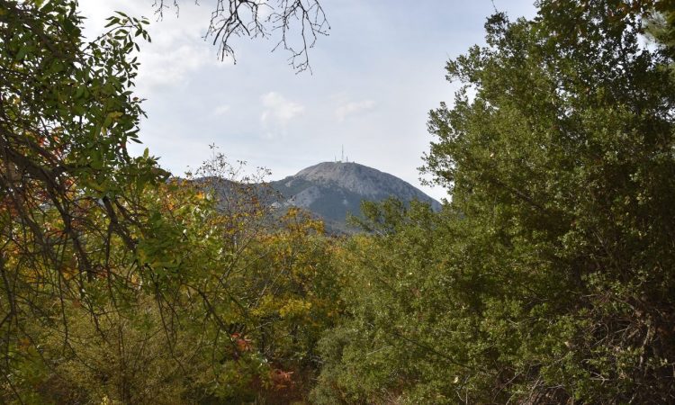 Μυτιλήνη: Η μεγάλη γιορτή του κάστανου στην Αγιάσο