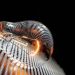 Χαμένοι στα χρωματιστά τιμολόγια ρεύματος: Οδηγός επιβίωσης