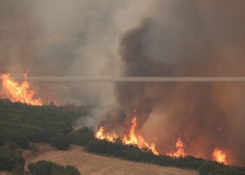 Φωτιά στα Χανιά: Καίει σε δασική έκταση – Ισχυρή κινητοποίηση της Πυροσβεστικής
