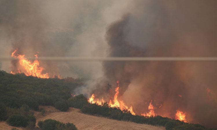 Φωτιά στα Χανιά: Καίει σε δασική έκταση – Ισχυρή κινητοποίηση της Πυροσβεστικής