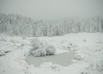 Μοναδικές εικόνες από το χιονισμένο Περτούλι -Ντύθηκαν τα πάντα στα «λευκά», παραμυθένιο σκηνικό