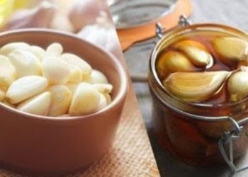 Το απόλυτο γιατροσόφι: Τα οφέλη του συνδυασμού σκόρδου με μέλι στις ιώσεις – Πως να το φτιάξετε