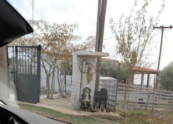 Θεσσαλονίκη: «Είχε μια μεγάλη δαγκωματιά στο λαιμό» -Μαρτυρία για την 50χρονη που σκότωσαν τα σκυλιά