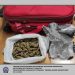 Μετέφεραν βαλίτσα γεμάτη κάνναβη με λεωφορείο του ΚΤΕΛ Τρικάλων