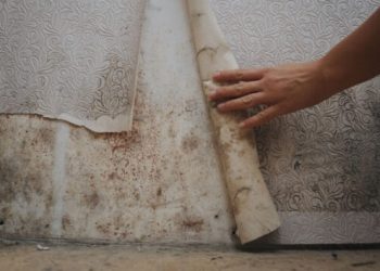 Συμβουλές πρόληψης για τη μούχλα