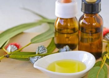 Καθαρίστε και απολυμάνετε το σπίτι με ευκάλυπτο