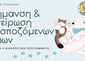 Μεγάλη εκστρατεία σήμανσης και στείρωσης δεσποζόμενων ζώων από τον Δήμο Τρικκαίων