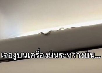 Πανικός σε πτήση προς την Ταϊλάνδη: Ένα ζωντανό φίδι ανάμεσα στους επιβάτες (vid)