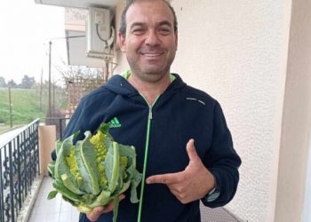 Λάρισα: Αυτό είναι το “περίεργο” και “άγνωστο” λαχανικό που καλλιεργεί παραγωγός στον Πλατύκαμπο