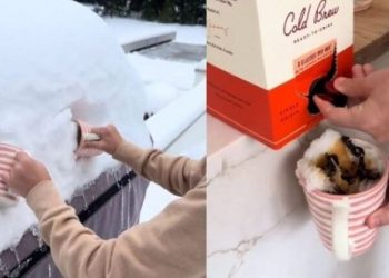 Το παγωτό από χιόνι διχάζει το διαδίκτυο: «Είναι μια αηδία» (vid)