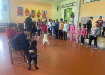 22ο Δημοτικό Σχολείο Τρικάλων | Εκπαιδευμένοι σκύλοι μαθαίνουν στα παιδιά πως να Δίνουν και να Παίρνουν αγάπη