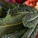 Λαχανίδα (kale): Τα top 5 οφέλη για την υγεία σας