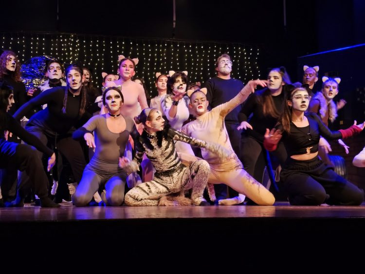 “Dancing with Cats” μια επαγγελματική παράσταση από τους μαθητές του 4ου Πειραματικού ΓΕΛ Τρικάλων «Αλέξανδρος Παπαδιαμάντης» (ΦΩΤΟ-ΒΙΝΤΕΟ)