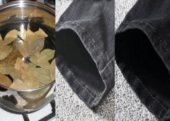 Η λύση για τα ξεθωριασμένα ρούχα είναι τα φύλλα δάφνης και η μαγειρική σόδα