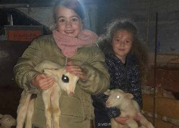 Εβελίνα και Αθανασία: Δύο λιλιπούτιες… κτηνοτρόφοι στην Οιχαλία Τρικάλων (ΦΩΤΟ-ΒΙΝΤΕΟ)