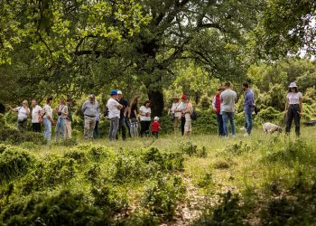 Στις 3 Μαρτίου ξεκινά το κυνήγι Τρούφας στα Μετέωρα