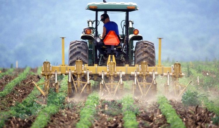 Αιτήσεις για επανόρθωση ζημιών κεφαλαίου σε γεωργικές εκμεταλλεύσεις από τον Daniel