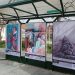 Φλώρινα: Στάσεις λεωφορείων με έργα τέχνης