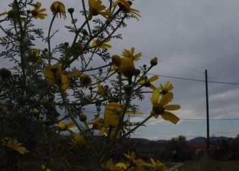 Καιρός: Άστατος σήμερα Σάββατο – Η πρόγνωση για την 25η Μαρτίου