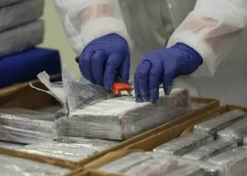 Πορτογαλία: Κατέσχεσαν ποσότητα-μαμούθ 1,3 τόνων κοκαΐνης μέσα σε καταψυγμένα ψάρια