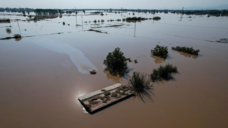 Απαλλάσσονται από μισθώματα οι πλημμυροπαθείς αγρότες του Δήμου Τρικκαίων
