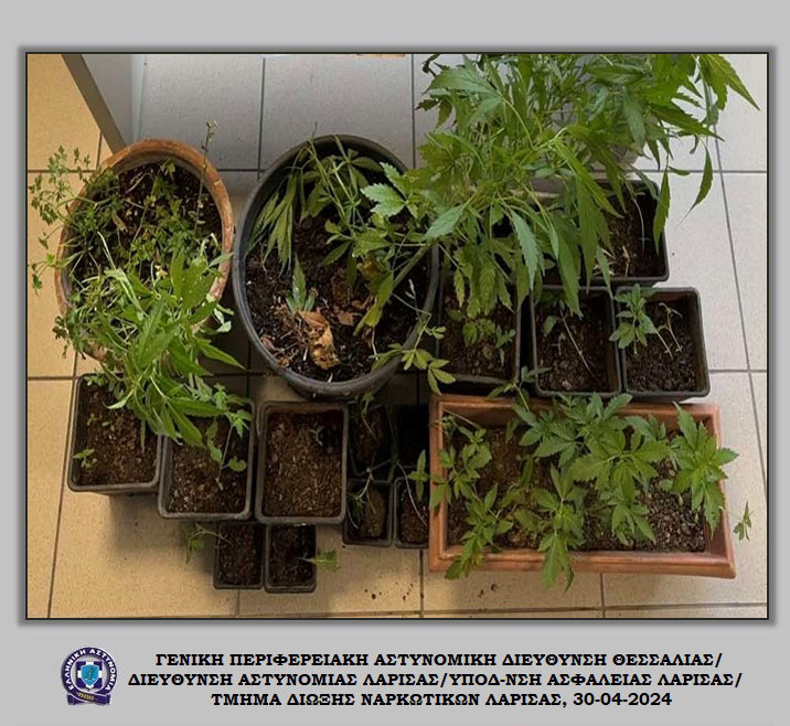 Η συντονισμένη επιχείρηση των αστυνομικών του Τμήματος Δίωξης Ναρκωτικών έφερε αποτελέσματα