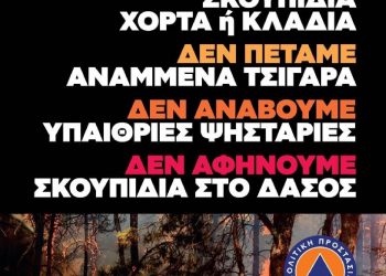 Δ. Τρικκαίων: Συστάσεις τι να αποφεύγουμε κατά την αντιπυρική περίοδο